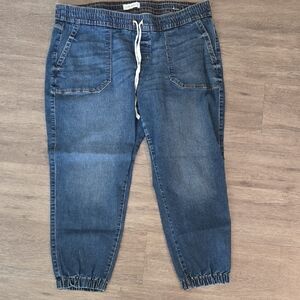 Lane Bryant Medium Wash Denim Jogger Jeans